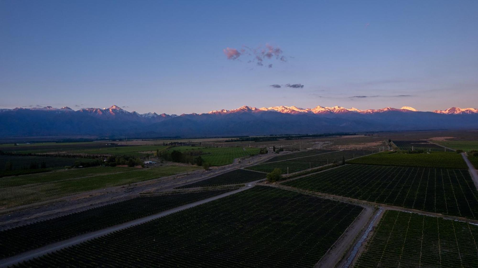 La Azul